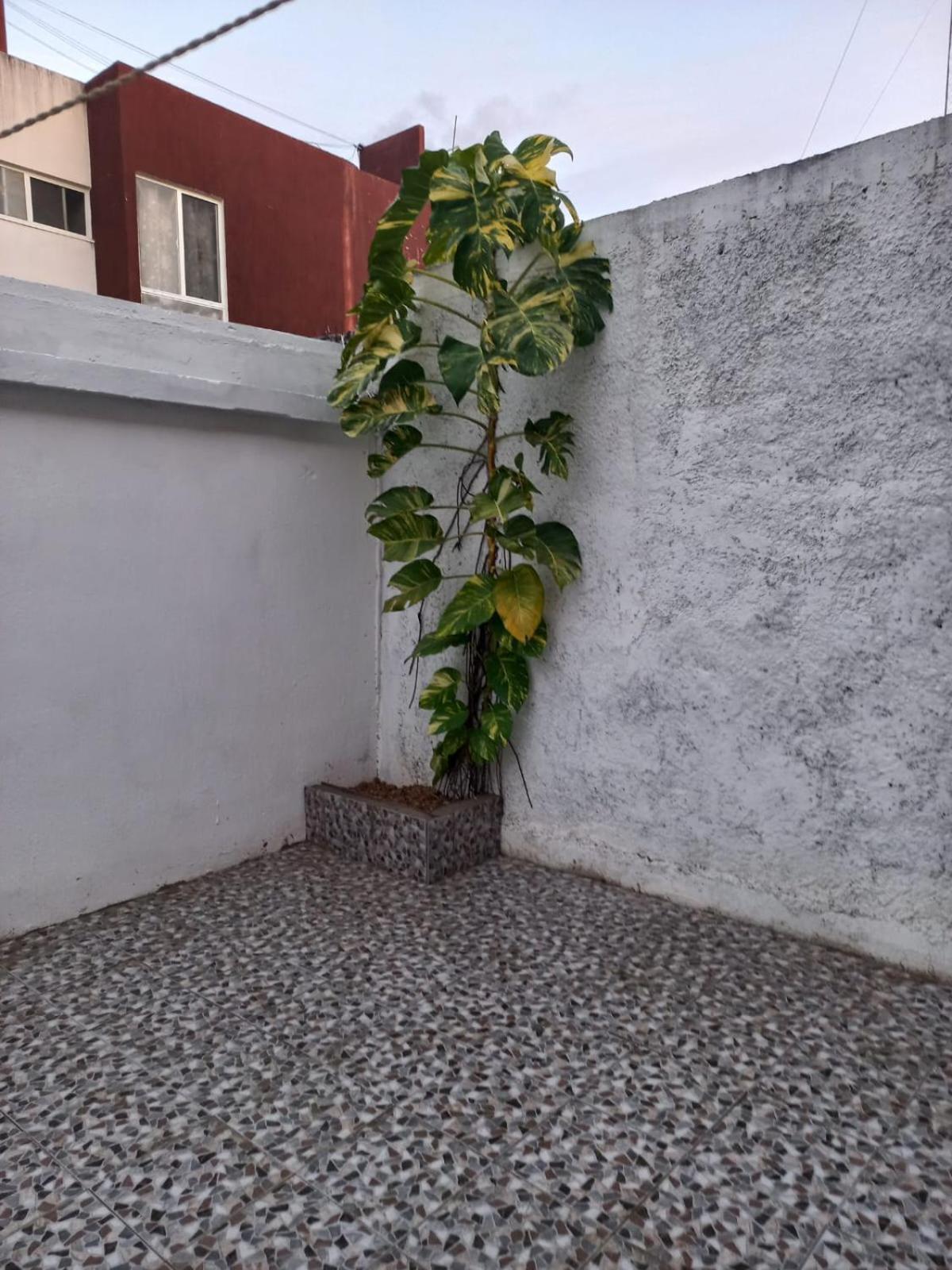 Casa Niza Cancún Exterior foto
